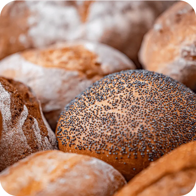 bread